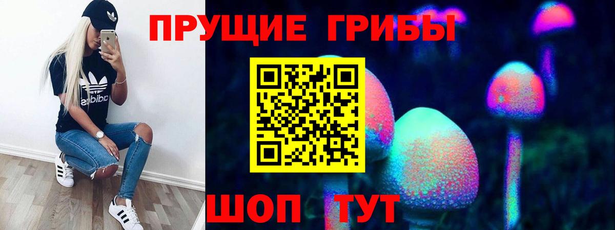 Галлюциногенные грибы Cubensis  Вход с VPN  Луховицы 